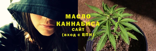 сатива Дмитровск