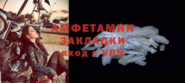 сатива Дмитровск