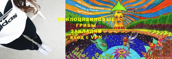 герыч Дмитриев
