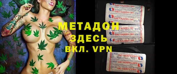 сатива Дмитровск