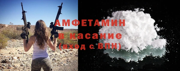 сатива Дмитровск