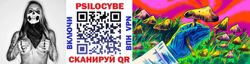 Псилоцибиновые грибы мицелий Купить Белинский
